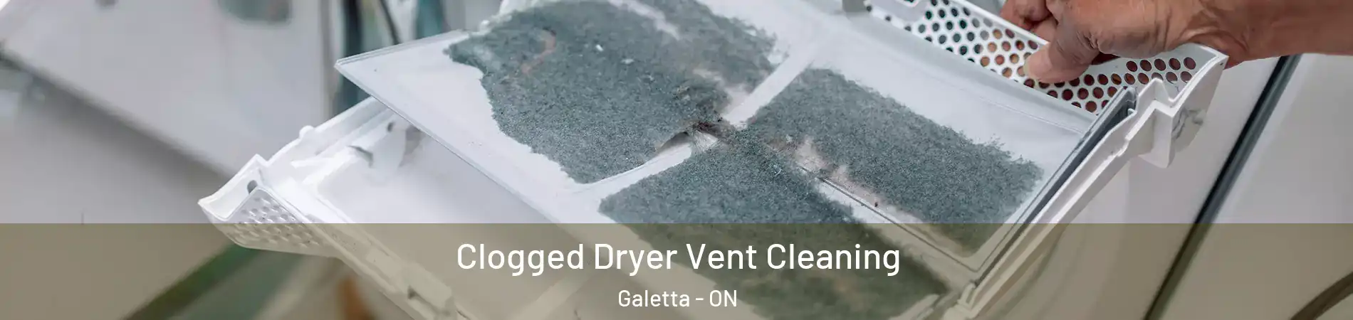  Clogged Dryer Vent Cleaning Galetta - ON