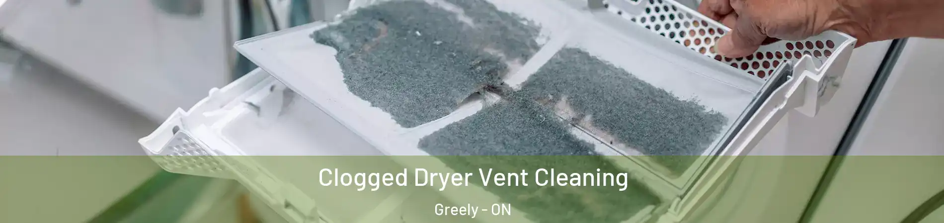  Clogged Dryer Vent Cleaning Greely - ON