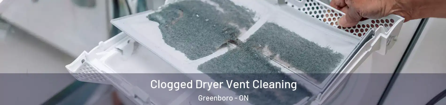  Clogged Dryer Vent Cleaning Greenboro - ON