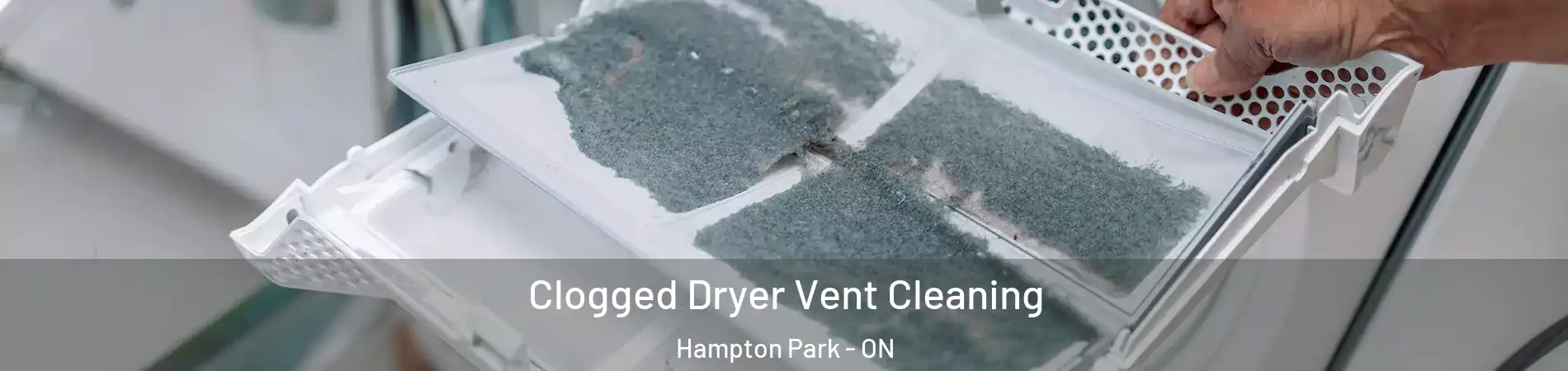  Clogged Dryer Vent Cleaning Hampton Park - ON