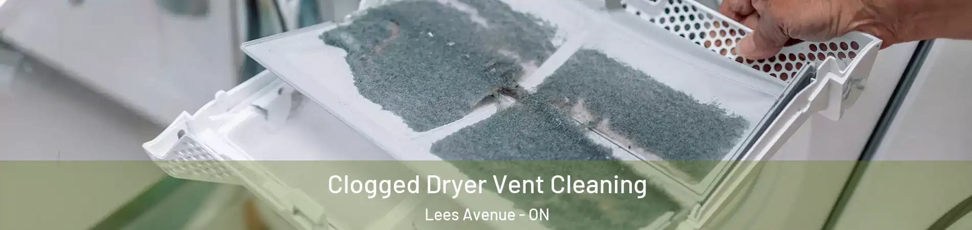  Clogged Dryer Vent Cleaning Lees Avenue - ON