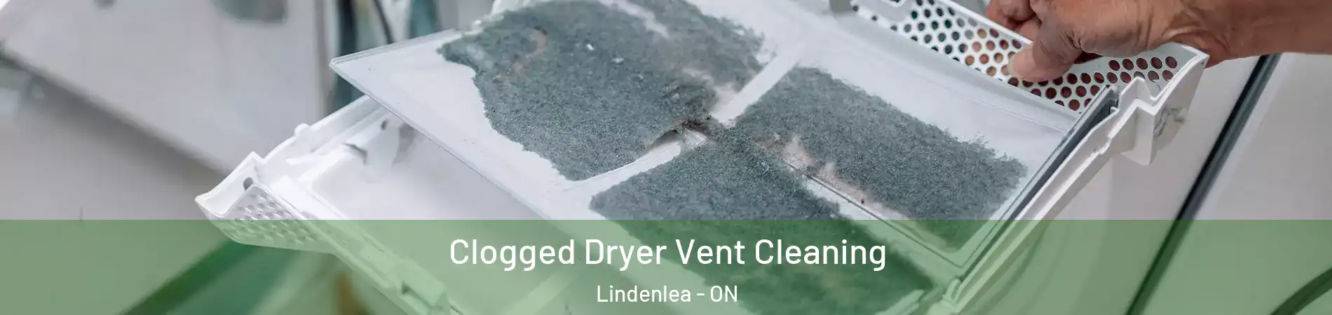  Clogged Dryer Vent Cleaning Lindenlea - ON