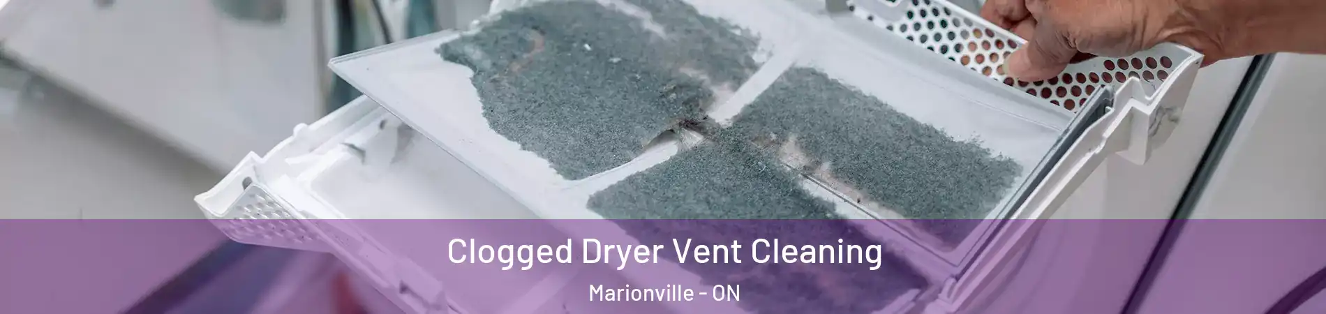  Clogged Dryer Vent Cleaning Marionville - ON