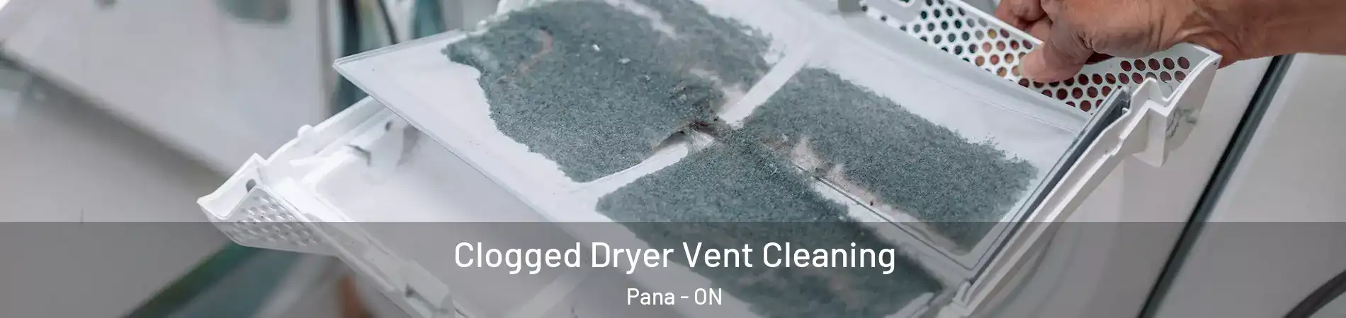  Clogged Dryer Vent Cleaning Pana - ON