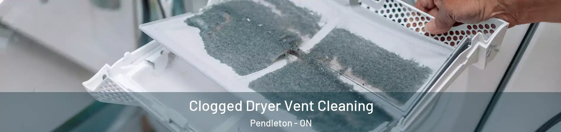  Clogged Dryer Vent Cleaning Pendleton - ON