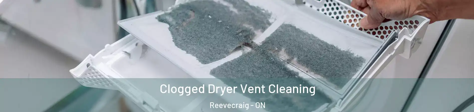  Clogged Dryer Vent Cleaning Reevecraig - ON