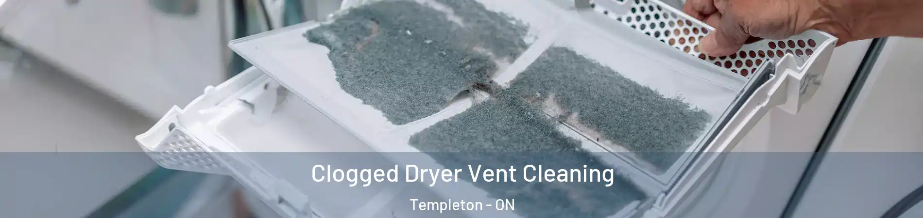  Clogged Dryer Vent Cleaning Templeton - ON