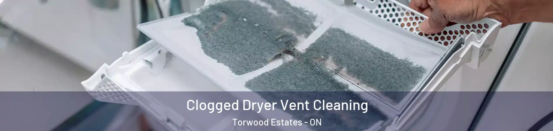  Clogged Dryer Vent Cleaning Torwood Estates - ON