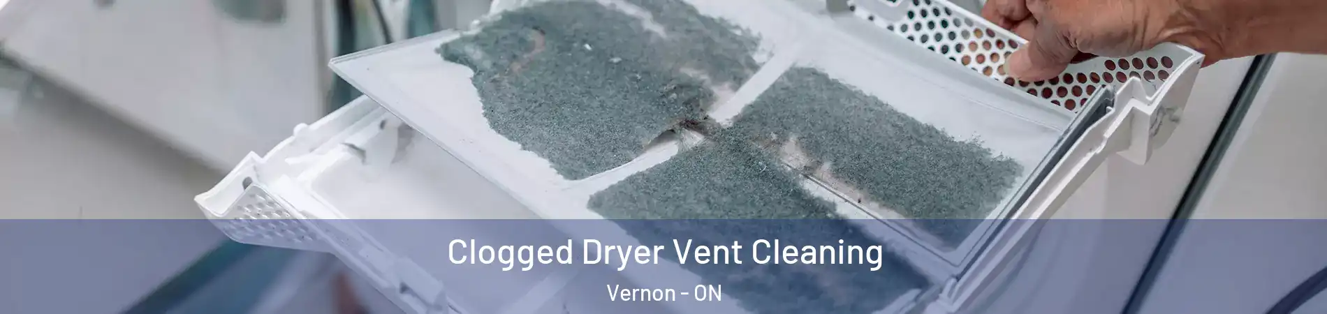  Clogged Dryer Vent Cleaning Vernon - ON