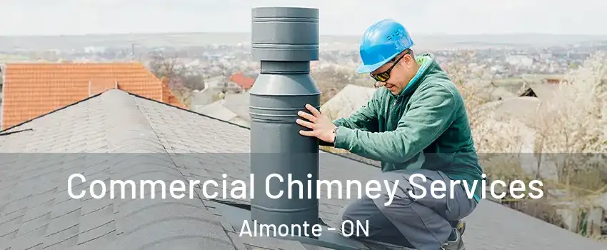  Commercial Chimney Services Almonte - ON