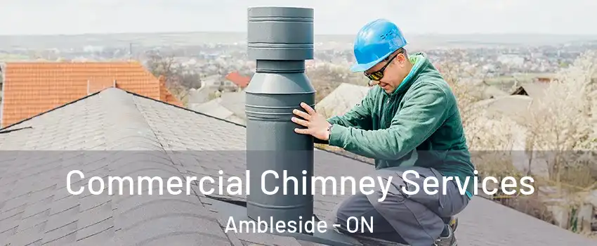  Commercial Chimney Services Ambleside - ON