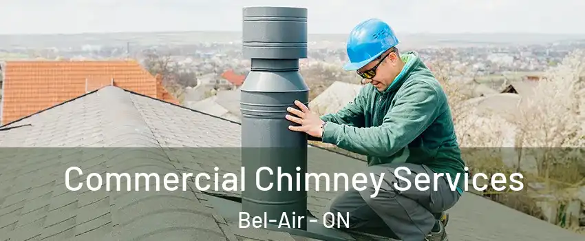  Commercial Chimney Services Bel-Air - ON