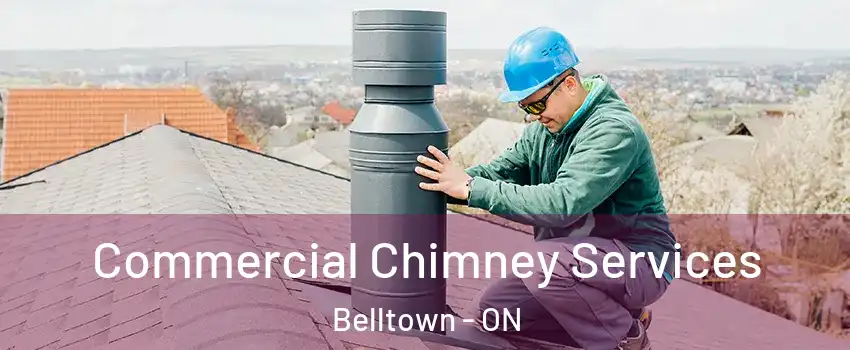  Commercial Chimney Services Belltown - ON