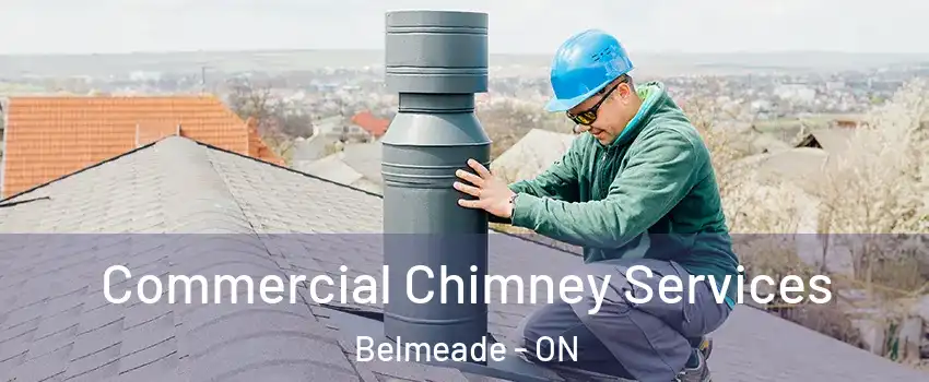  Commercial Chimney Services Belmeade - ON