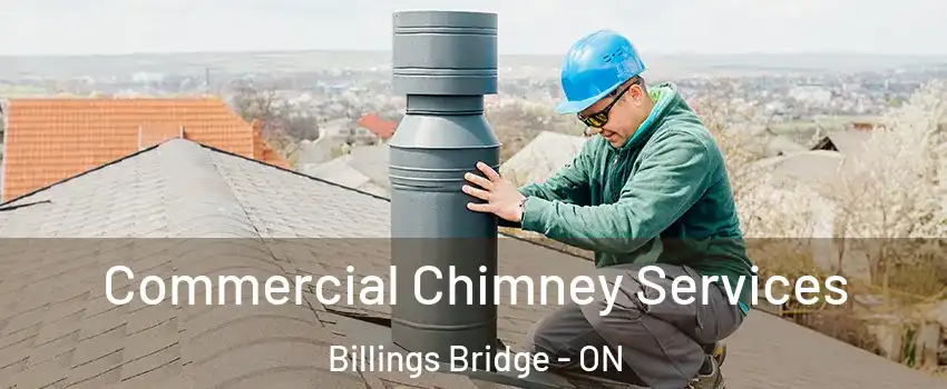  Commercial Chimney Services Billings Bridge - ON