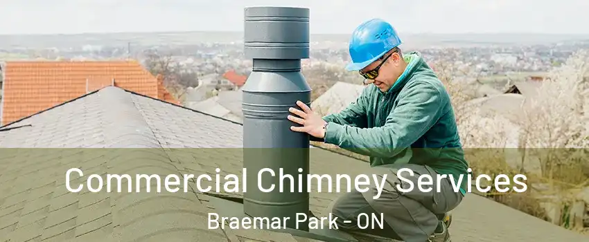  Commercial Chimney Services Braemar Park - ON