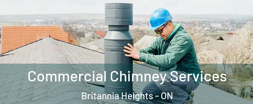  Commercial Chimney Services Britannia Heights - ON