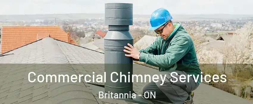  Commercial Chimney Services Britannia - ON