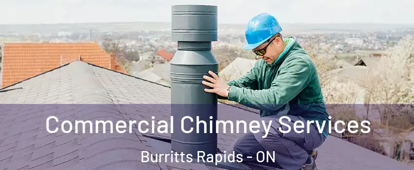  Commercial Chimney Services Burritts Rapids - ON