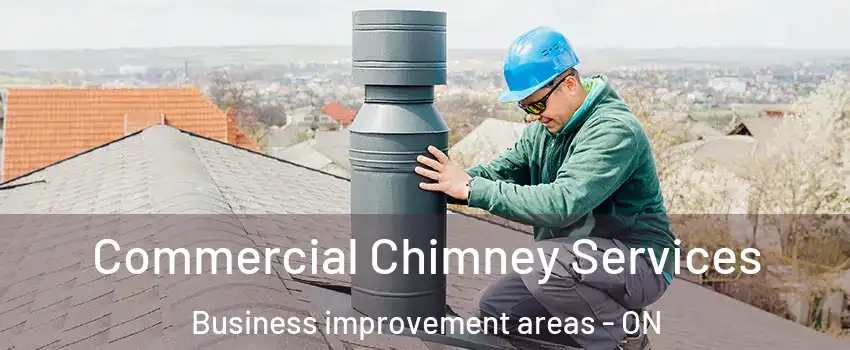  Commercial Chimney Services Business improvement areas - ON