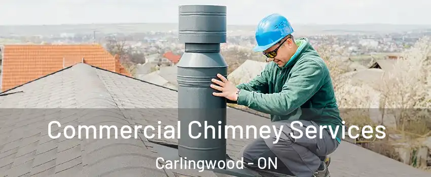  Commercial Chimney Services Carlingwood - ON