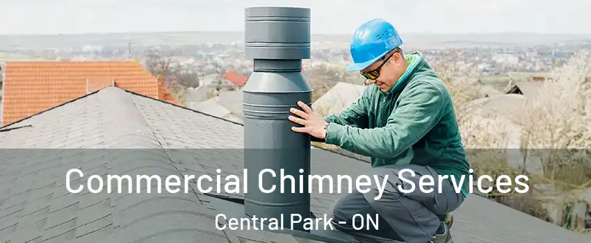  Commercial Chimney Services Central Park - ON