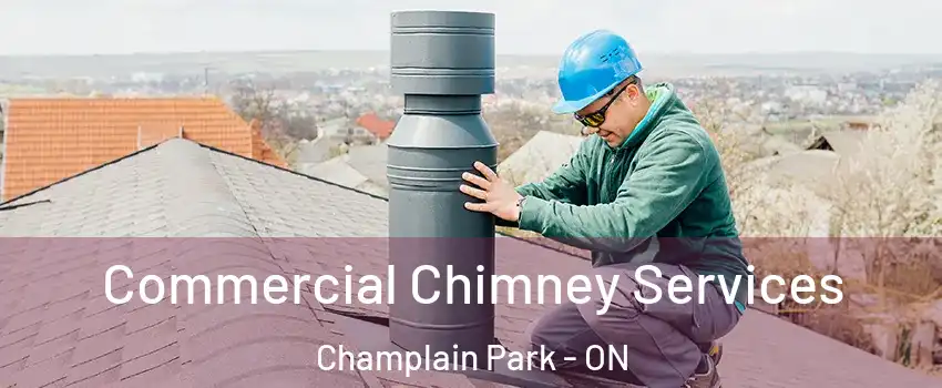  Commercial Chimney Services Champlain Park - ON