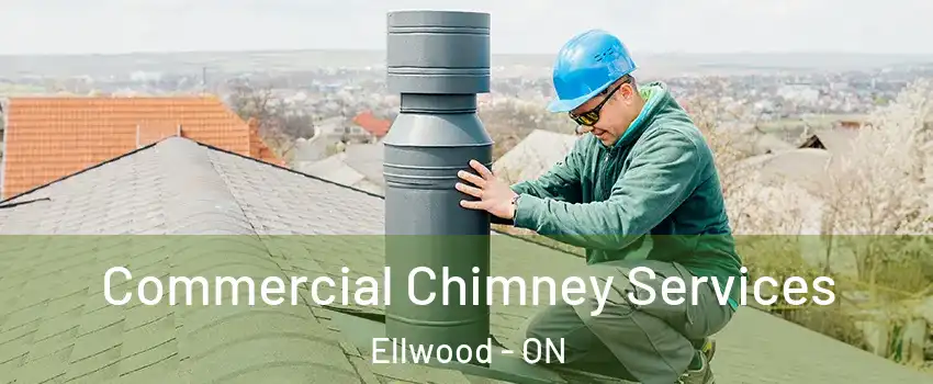  Commercial Chimney Services Ellwood - ON