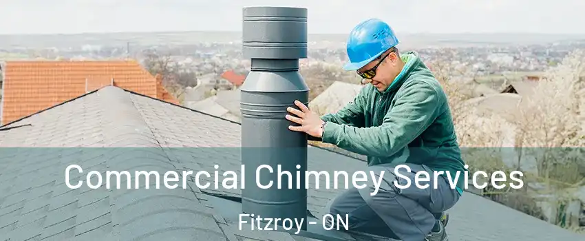  Commercial Chimney Services Fitzroy - ON