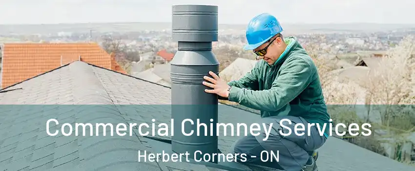  Commercial Chimney Services Herbert Corners - ON