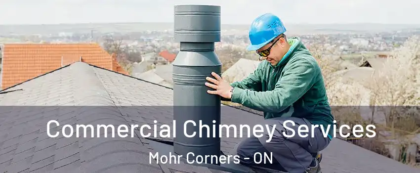  Commercial Chimney Services Mohr Corners - ON