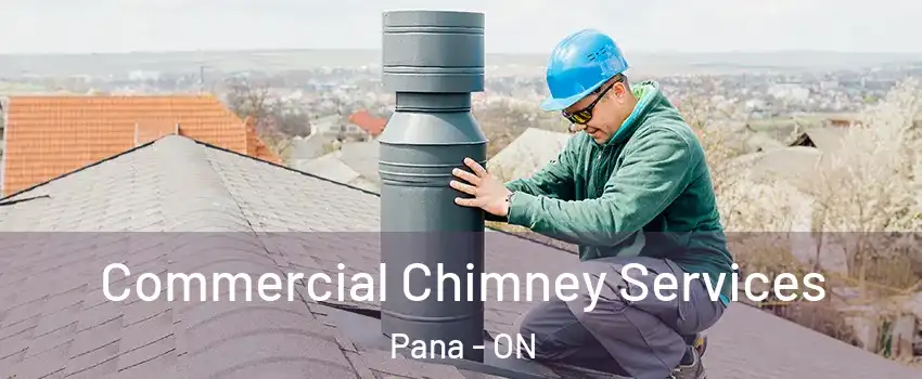  Commercial Chimney Services Pana - ON