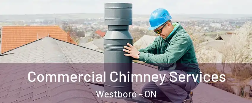  Commercial Chimney Services Westboro - ON