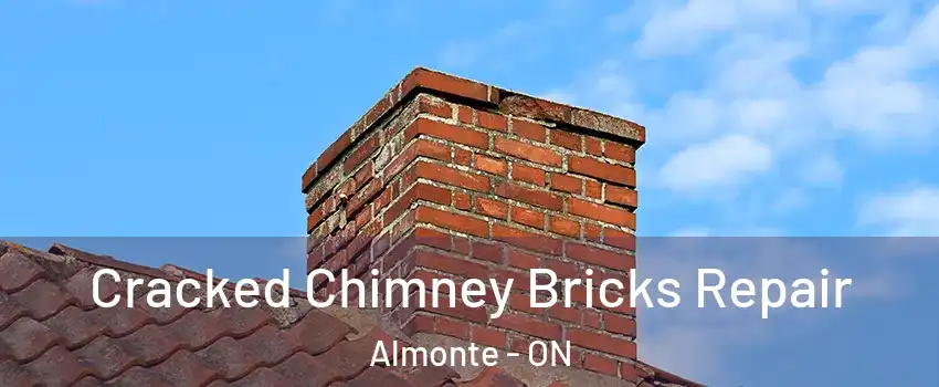  Cracked Chimney Bricks Repair Almonte - ON