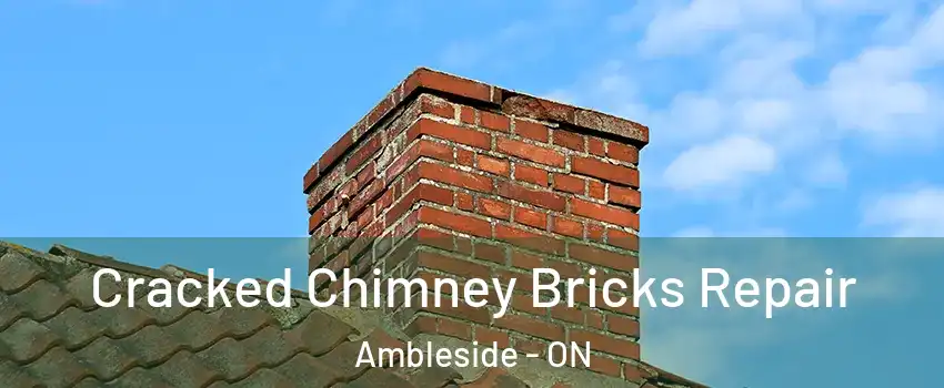  Cracked Chimney Bricks Repair Ambleside - ON