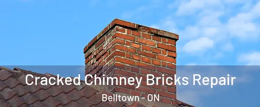  Cracked Chimney Bricks Repair Belltown - ON