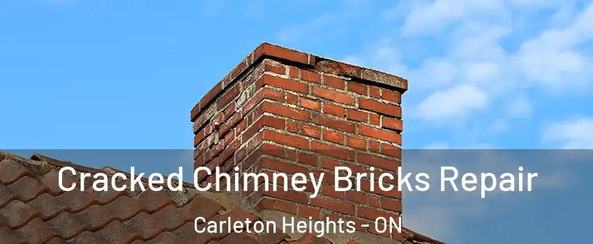  Cracked Chimney Bricks Repair Carleton Heights - ON