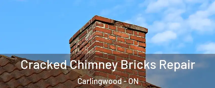  Cracked Chimney Bricks Repair Carlingwood - ON