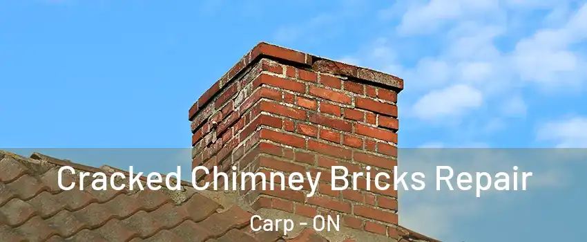  Cracked Chimney Bricks Repair Carp - ON