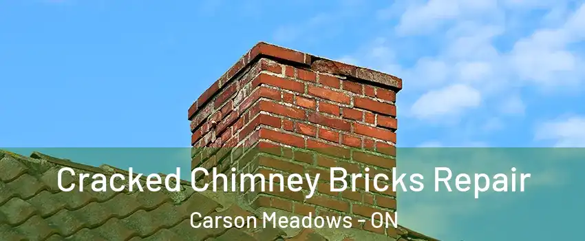  Cracked Chimney Bricks Repair Carson Meadows - ON