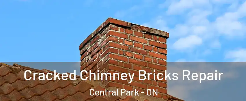  Cracked Chimney Bricks Repair Central Park - ON