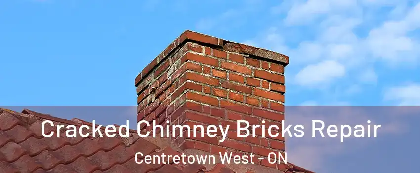  Cracked Chimney Bricks Repair Centretown West - ON