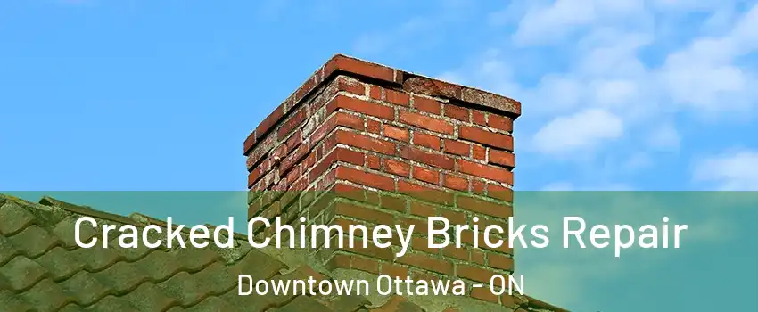  Cracked Chimney Bricks Repair Downtown Ottawa - ON