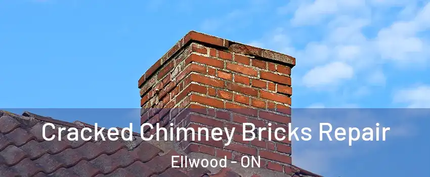  Cracked Chimney Bricks Repair Ellwood - ON