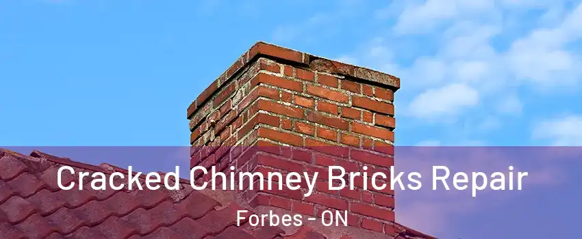  Cracked Chimney Bricks Repair Forbes - ON