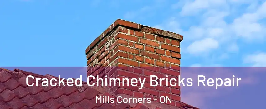  Cracked Chimney Bricks Repair Mills Corners - ON