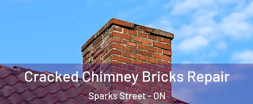  Cracked Chimney Bricks Repair Sparks Street - ON