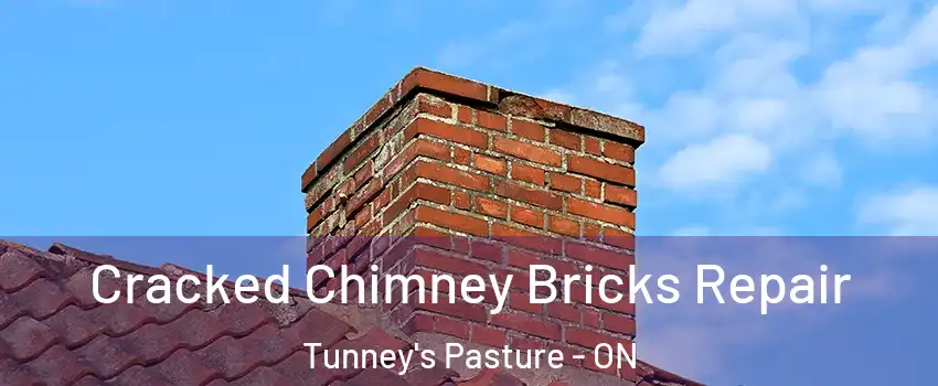  Cracked Chimney Bricks Repair Tunney's Pasture - ON