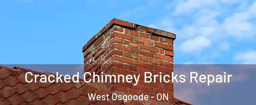  Cracked Chimney Bricks Repair West Osgoode - ON