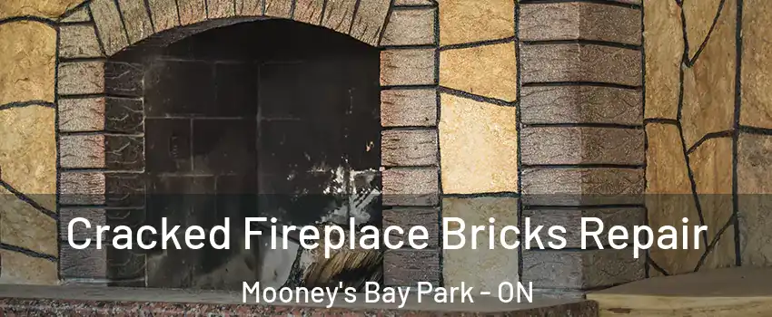  Cracked Fireplace Bricks Repair Mooney's Bay Park - ON